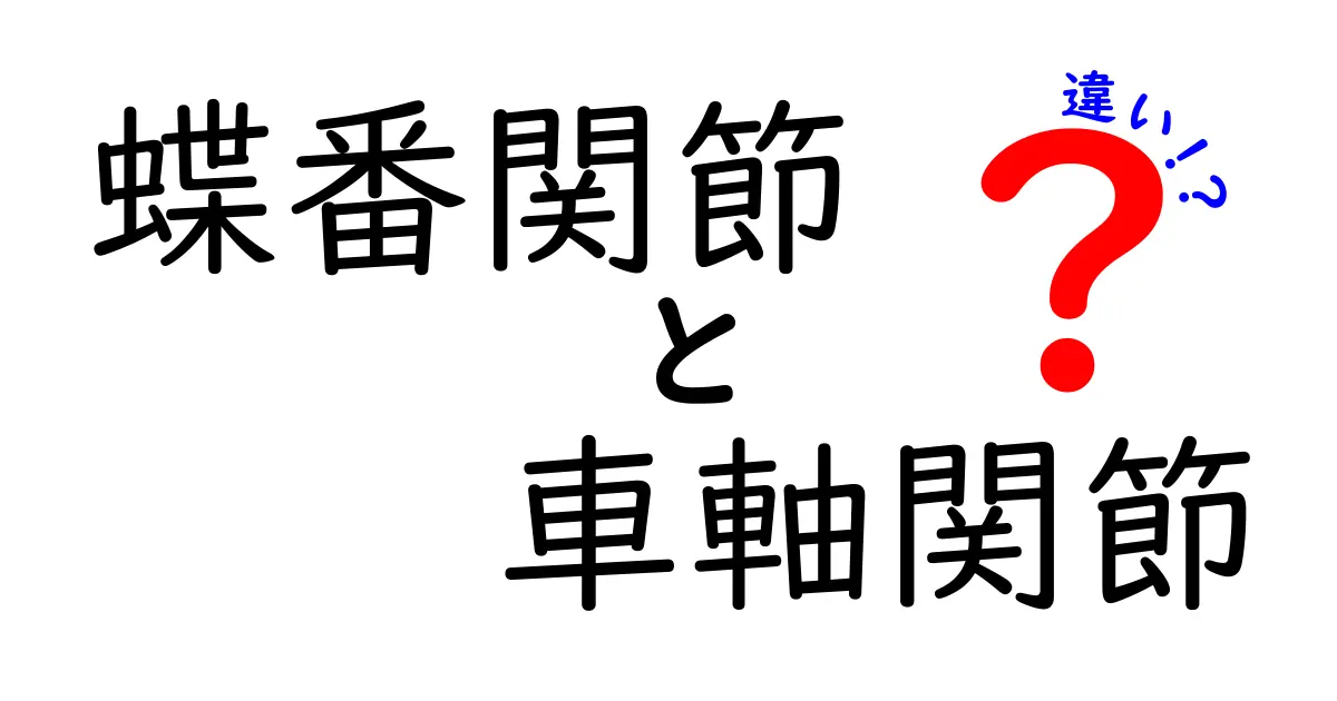 蝶番関節と車軸関節の違いを徹底解説！動きのしくみを中学生にもわかるように解説