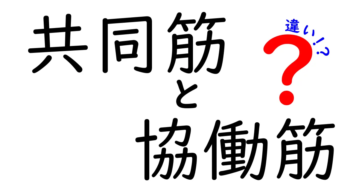 共同筋と協働筋の違いを完全解説！中学生にもわかる筋肉用語の新発見