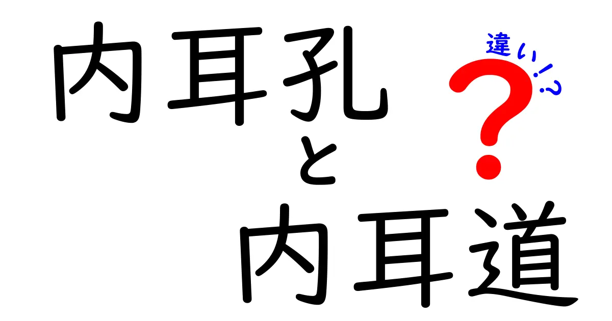 内耳孔と内耳道の違いを徹底解説！中学生でもつかめる図解入りガイド