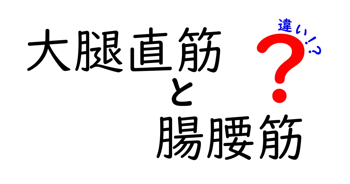 大腿直筋と腸腰筋の違いを徹底解説｜スポーツ動作と日常生活での使い分け