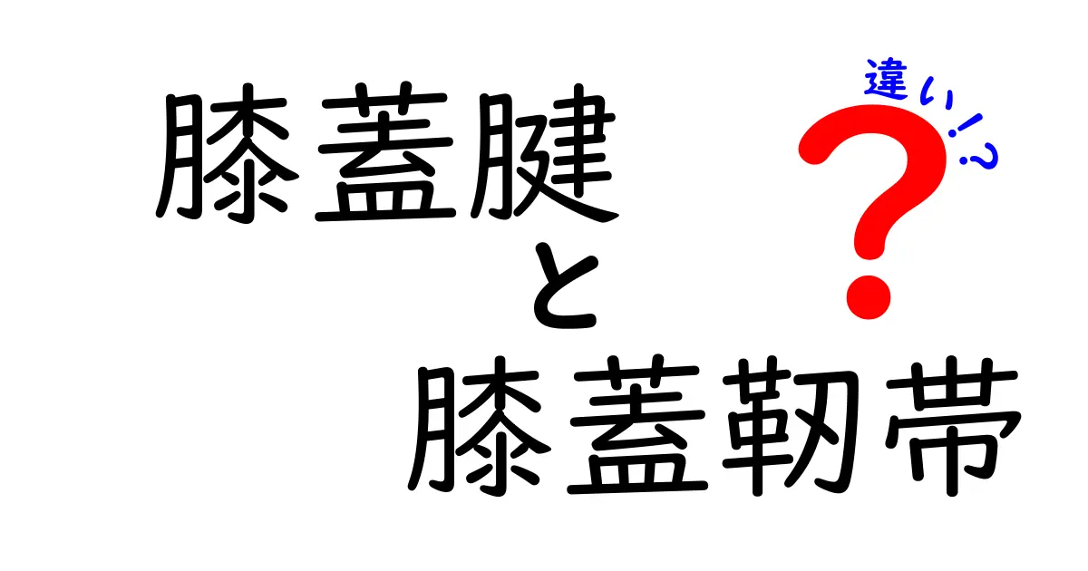 膝のお皿の秘密を解く！膝蓋腱と膝蓋靭帯の違いを完全ガイド