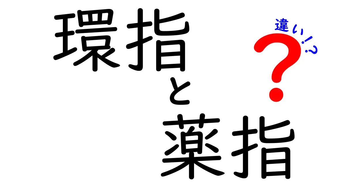 環指と薬指の違いを徹底解説！意味・使い分け・文化的背景まで