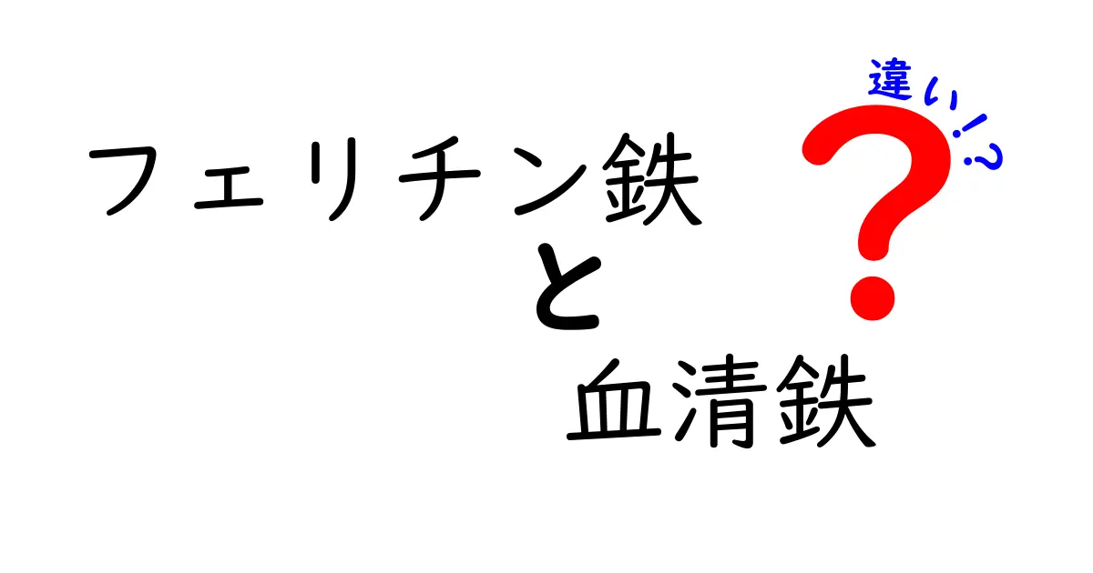 フェリチン鉄と血清鉄の違いを徹底解説！健康診断で押さえるべきポイント