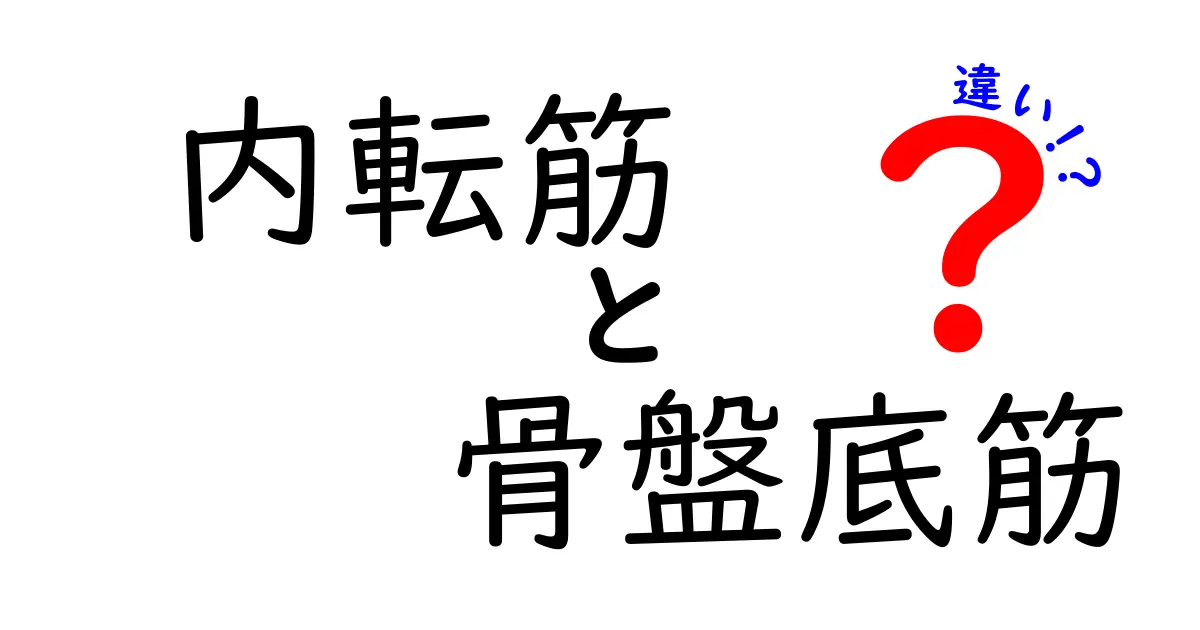 内転筋と骨盤底筋の違いを徹底解説 これを読めば体の使い分けが分かる！