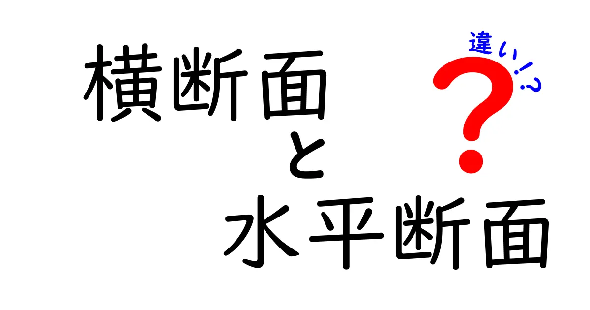 横断面と水平断面の違いを図解で理解！中学生にも分かる現場で使える見分け方