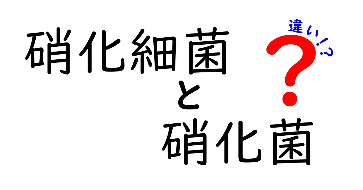 硝化細菌と硝化菌の違いを徹底解説！名前の混乱を解くポイントと身近な例
