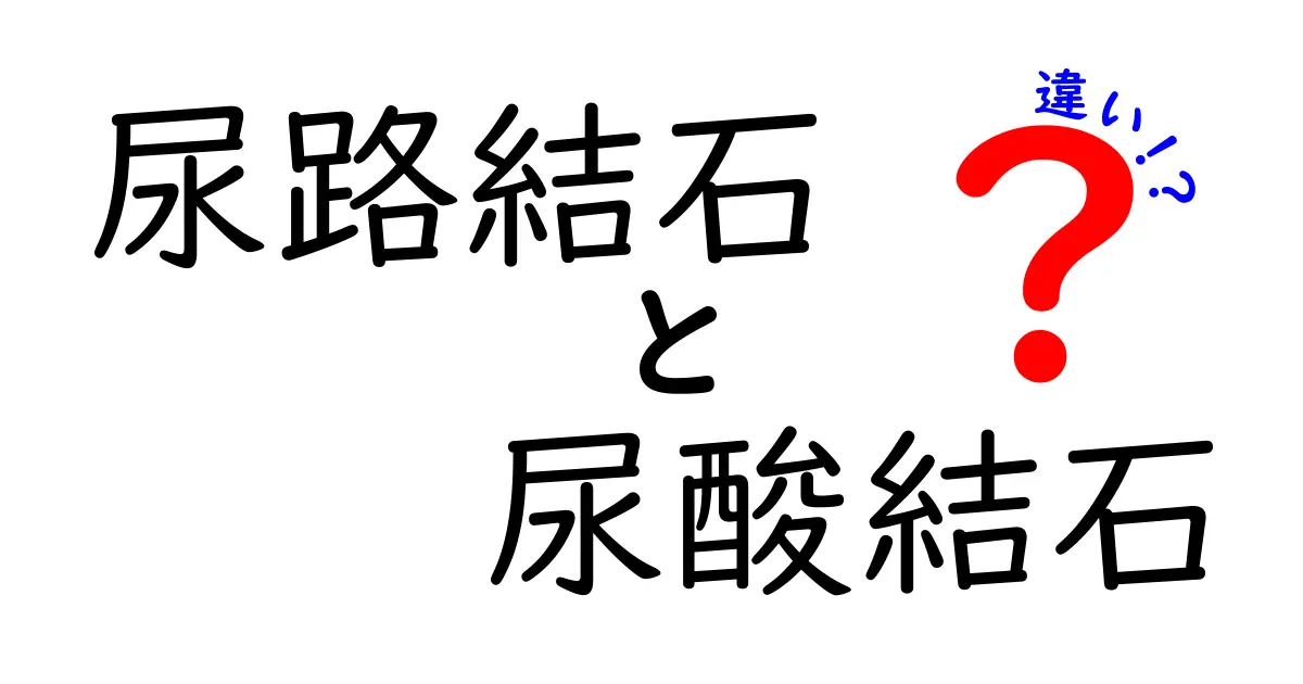 尿路結石と尿酸結石の違いを徹底解説！原因・症状・予防までやさしく理解