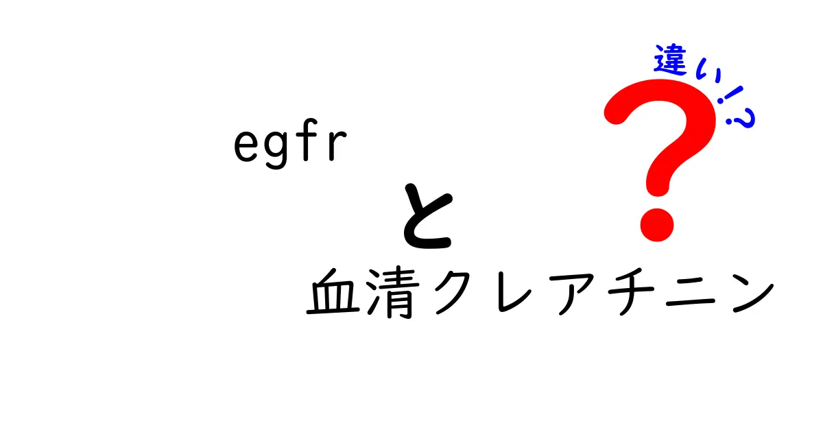 EGFRと血清クレアチニンの違いをわかりやすく解説：検査値の意味と病気リスクの見方