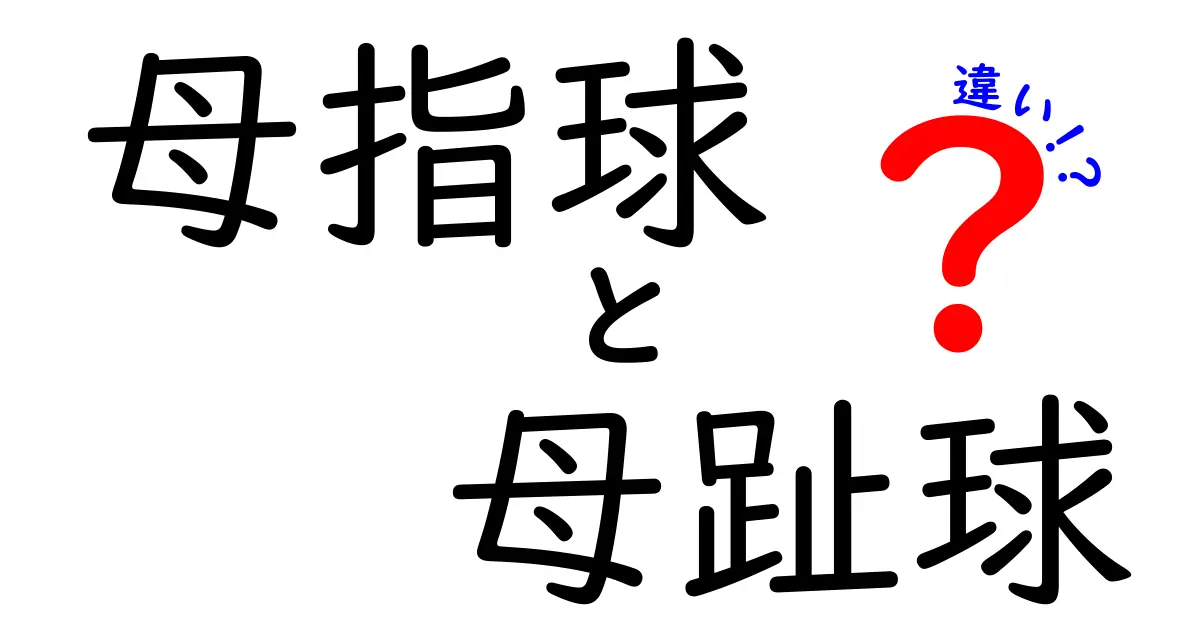 母指球と母趾球の違いを徹底解説｜手と足のパッドの役割を正しく理解しよう