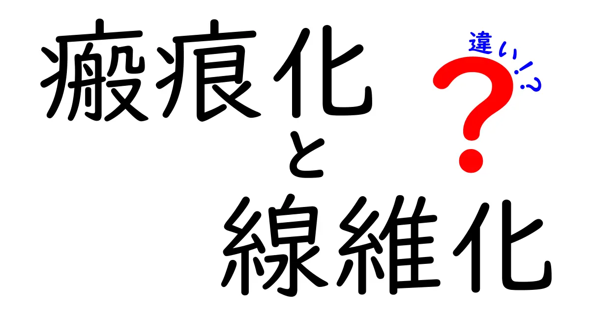 瘢痕化と線維化の違いを徹底解説！中学生にもわかる図解つき基礎知識