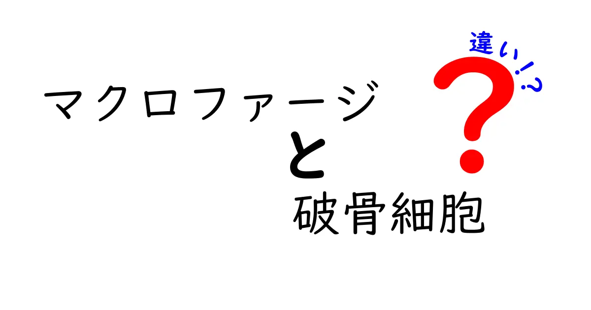マクロファージと破骨細胞の違いを徹底解説｜免疫と骨の世界をやさしく理解しよう