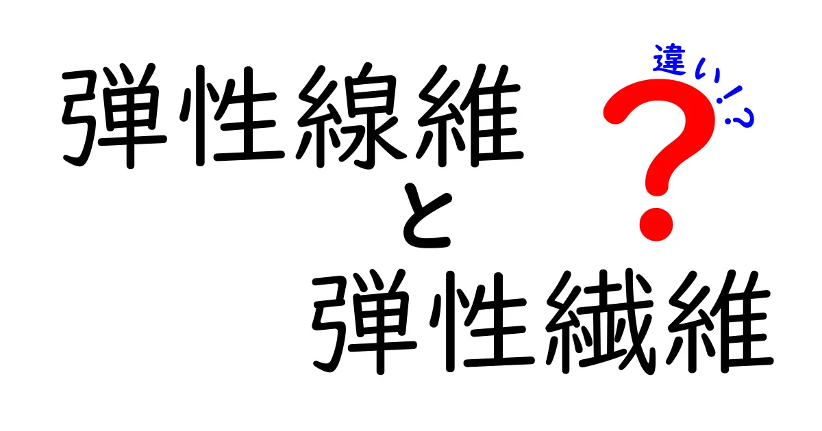 弾性線維と弾性繊維の違いをわかりやすく解説！用語の混同を避けるコツ