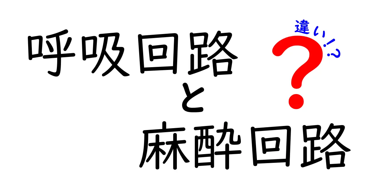 呼吸回路と麻酔回路の違いをわかりやすく徹底解説！中学生にも伝わるポイントと実例